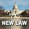 New Law Thumbnail